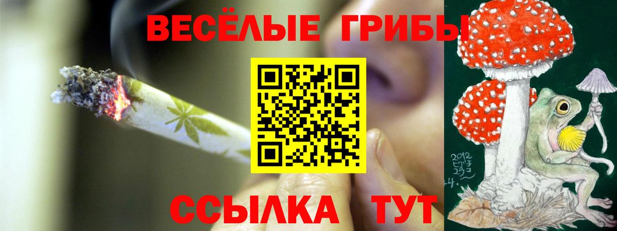 Курганинск  Галлюциногенные грибы мицелий  Вход с VPN  Галлюциногенные грибы Magic Shrooms 